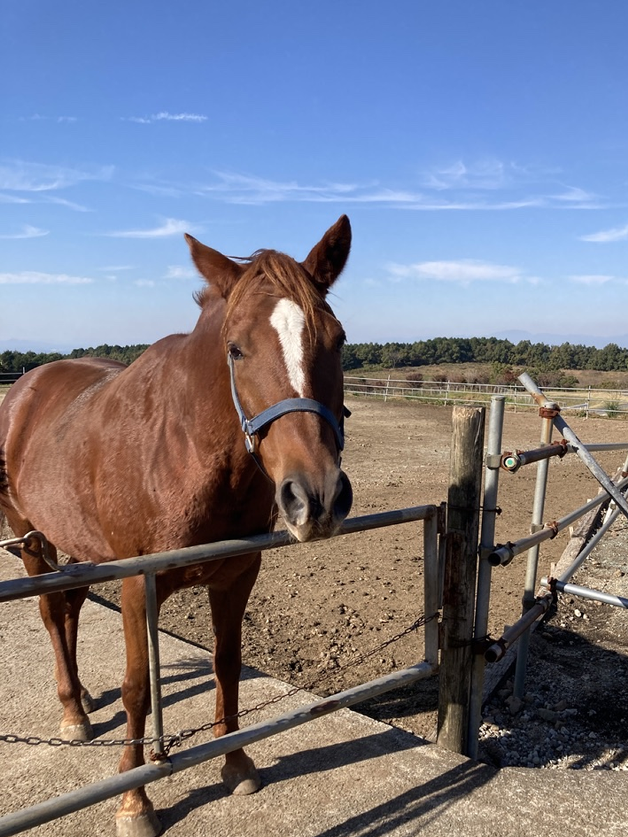 プリセット画像 9